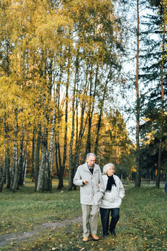 Elderly couple in autumn park