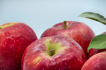 Apples on Gray Background 