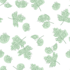 Botanical hand drawn seamless pattern with green parsley leaves on white background. Backdrop with aromatic herb, plant cultivated for culinary use. Natural colored vector illustration.