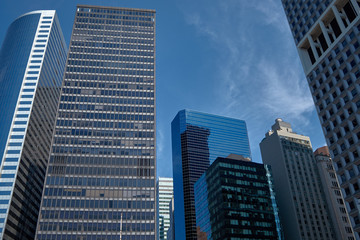 Buildings in the city