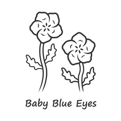 Baby blue eyes linear icon. Linen blooming flower with name inscription. Nemophila menziesii garden plant. Blue flax inflorescence. Thin line illustration. Contour symbol. Vector isolated drawing