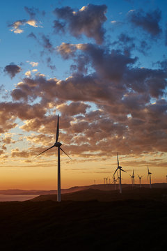 Coastal Wind Farm At Sunset