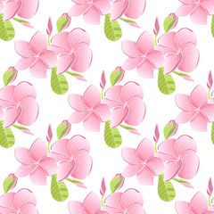 Seamless pattern with Plumeria. Endless texture for wedding design with Frangipani.