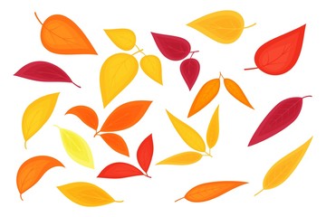 Set of different trees autumn leaves and sprigs isolated on white background. Colorful autumn leaves in cartoon, flat style. Design elements for card, poster, wallpaper, wrapping, textile, fabric