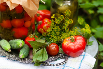 Big glass jars with ripe marinated homemade tomatoes and pickles. Autumn, harvest time. Fresh ingredients on metal vintage tray as decor. Green bush as background. Closeup. Russian dacha rustic style