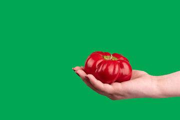 Red sweet bell peppers in hand over a green background.