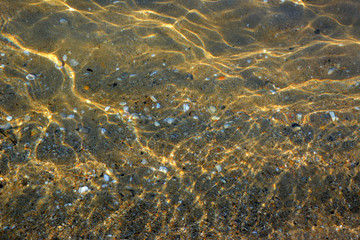 sandy bottom with shells underwater, beautiful natural background.