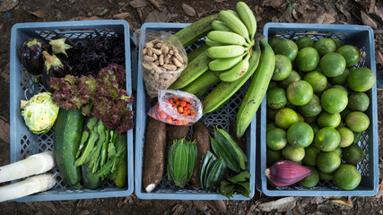 boxes loaded with fruits and vegetables such as pumpkins, lemons, oranges, manies, lettuce, leaves, bananas, nails, pumpkins, aubergines and other tropical fruits. Harvest of organic garden