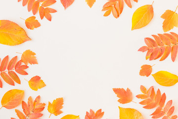 Flat lay frame with colorful autumn leaves on a white background