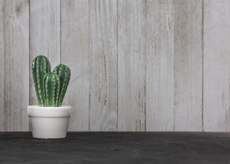 decorative artificial ceramic cactus in a pot