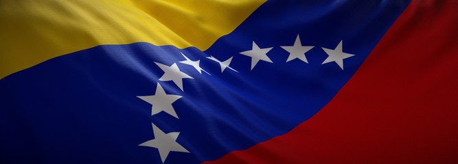 Official flag of Venezuela. Web Banner