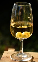 Verre de vin et vigne