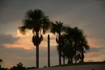 Manaus, Amazonas, Brazil. Rio Negro river and its beauties that enchant to all visitors. Amazonia,...