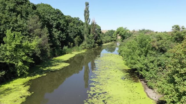 Wildlife of Russia: river, upstream, drone shooting