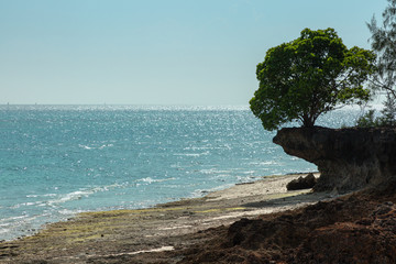 Stony shore by the ocean