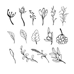 Hand sketched vector vintage elements - laurels, leaves, flowers, swirls and feathers. Wild and free. Perfect for invitations, greeting cards, quotes, blogs, Wedding Frames, posters 