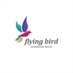 Obraz premium Colibri Bird Logo Design Creative Colorful Illustration . 