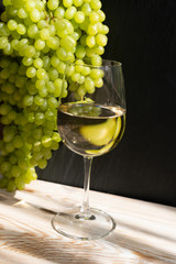 White Wine Glass on Ripe Green Grapes Background in Sunny Day