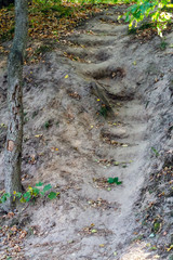 Earthen gouged steps