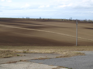 Hilly brown field
