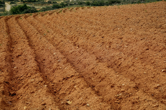 Agricultural preparation of soil for planting at ploughed field