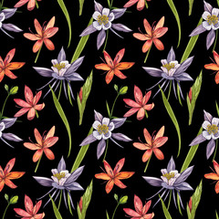 Kafir Lilies flowers. Seamless patterns. Collection of hand drawn flowers and plants. Botany. Set. Vintage flowers. Watercolor set of flowers and leaves, hand drawn floral illustration isolated on a