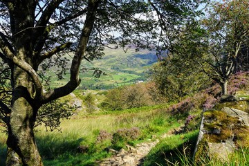Brilliant Mountain Landscape in Wales UK
