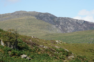Fototapeta premium Brilliant Mountain Landscape in Wales UK