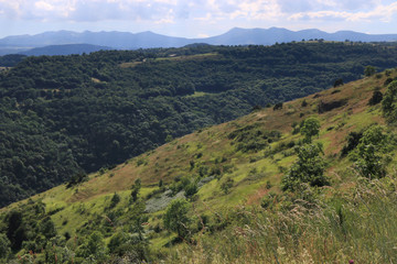 Naklejka premium Paysage auvergnat