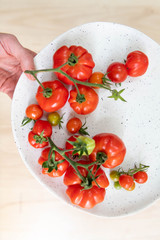 Freshly Harvested Various Tomatoes on Plate