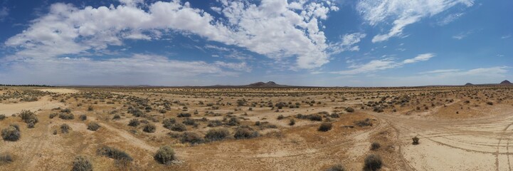 Fototapeta na wymiar Mojave Desert Landscape on a cloudy day