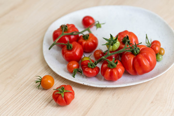 Freshly Harvested Various Tomatoes on Plate