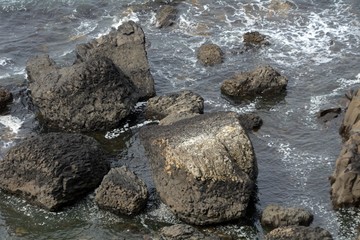 Fototapeta premium The Giant's Causeway, Northern-Ireland