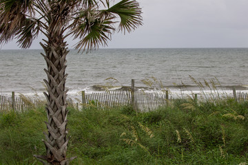 View of the ocean from the street