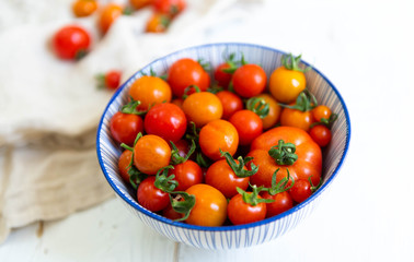 Freshly Picked Various Tomatoes in Blue Striped Bowl