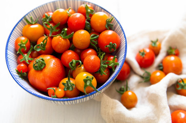 Freshly Picked Various Tomatoes in Blue Striped Bowl