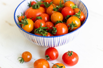 Freshly Picked Various Tomatoes in Blue Striped Bowl