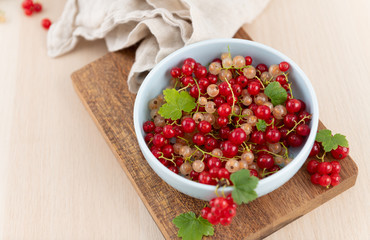 Freshly Picked Red and White Currants in Blue Bowl 