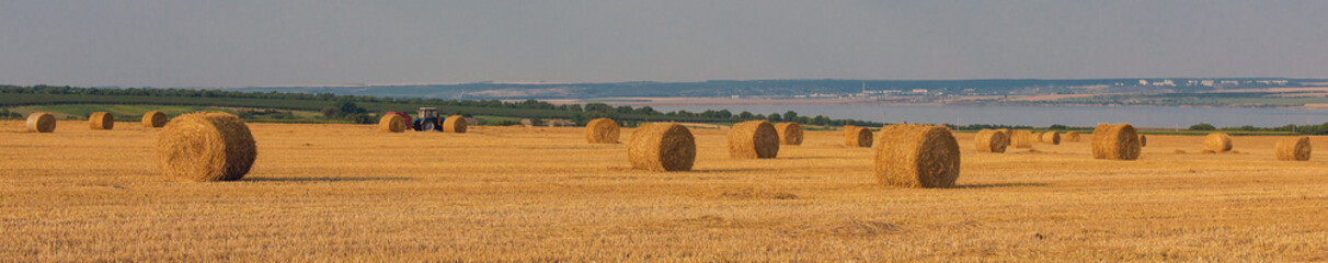 Fototapeta premium Field after harvest, Big round bales of straw