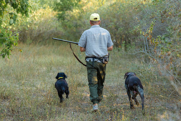 Hunting period, autumn season open. A hunter with a gun in his hands in hunting clothes in the...