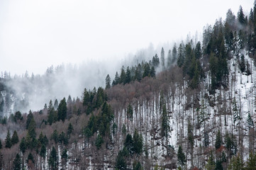 neige et brouillard en montagne