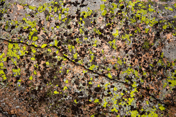 Old stone covered with moss