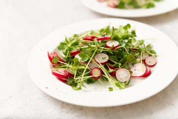 Organic Radishes and Sprouts Salad on Plate
