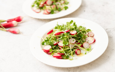 Organic Radishes and Sprouts Salad on Plate