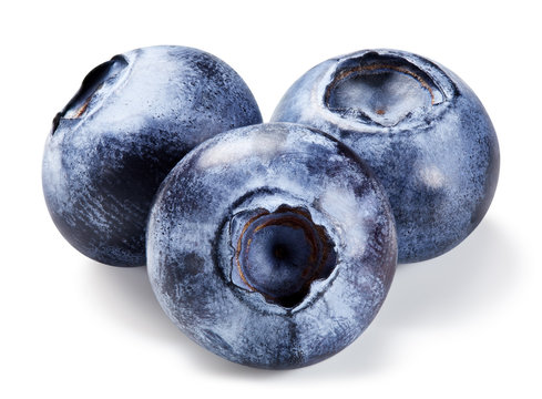 Blueberry berries isolated on white. Ripe blueberry Clipping Path.