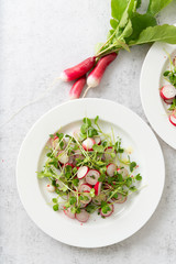 Organic Radishes and Sprouts Salad on Plate