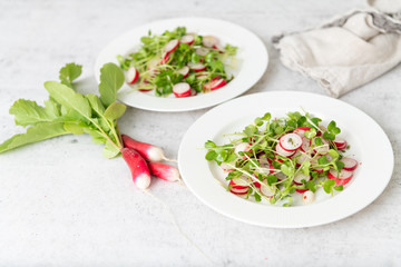 Organic Radishes and Sprouts Salad on Plate