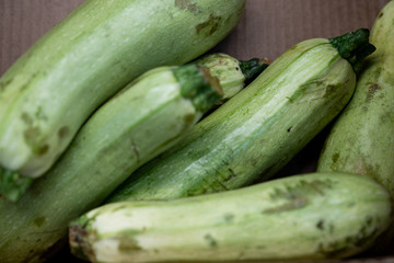 Zucchini in a shop window for sale
