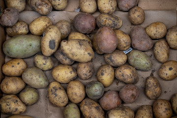 Potatoes on a shop window for sale