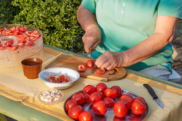 Female hands in the garden cutting tomatoes